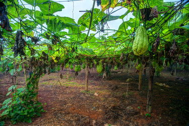 Similar image 13130493