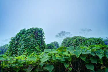 Similar image 13130513