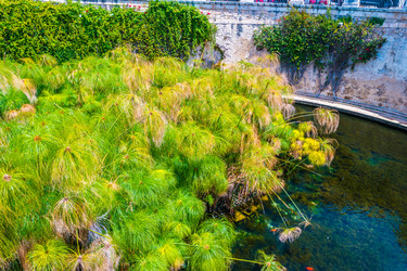 Similar image 13130553