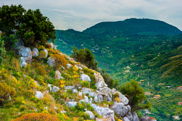 Similar image 13130554