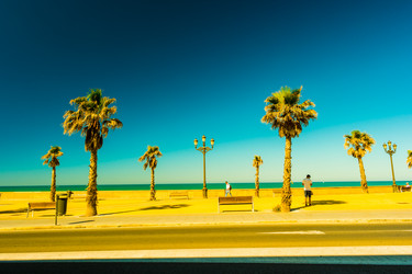 Similar image 13130569