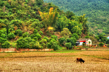 Similar image 13130640