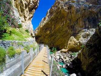 Similar image 13130662