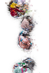 Similar image 13131025