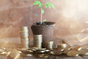 Similar image 13146486