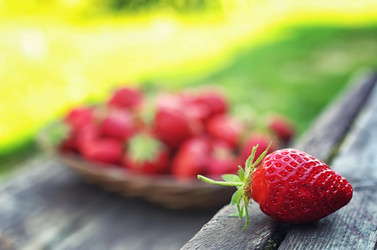 Similar image 13145682