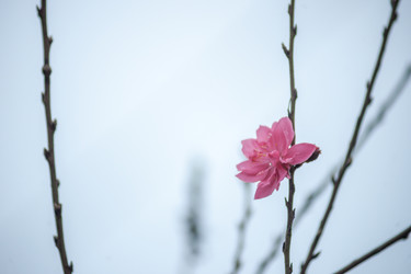 Similar image 13130750