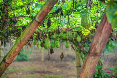 Similar image 13130789