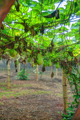 Similar image 13130790