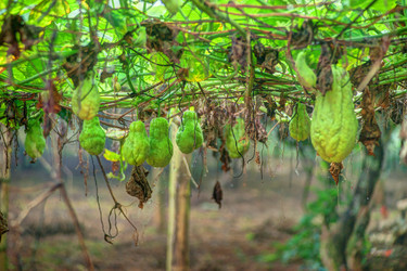 Similar image 13130809