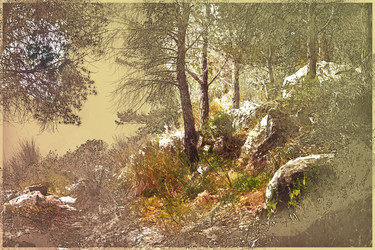 Similar image 13130887