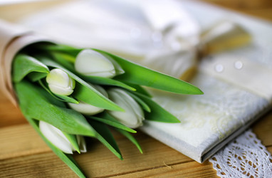 Similar image 13146534