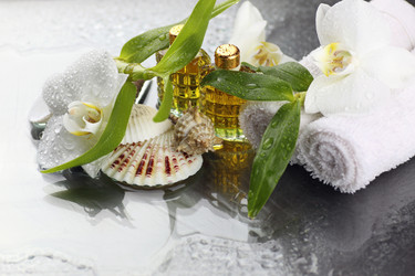 Similar image 13146425