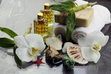 Similar image 13146469