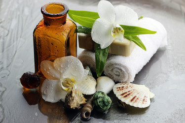 Similar image 13146472