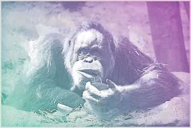 Similar image 13130281