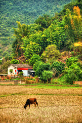 Similar image 13130297