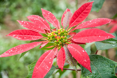 Similar image 13130316