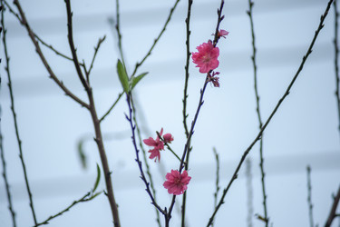 Similar image 13130317