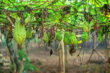 Similar image 13130337