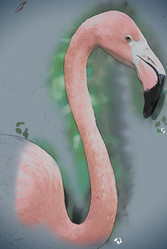 Similar image 13130376