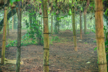 Similar image 13130378