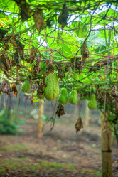 Similar image 13130397