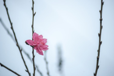 Similar image 13130398