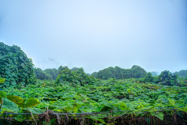 Similar image 13130399