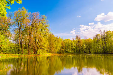 Similar image 13130437