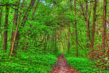 Similar image 13130438