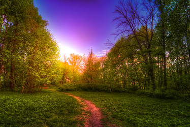 Similar image 13130455