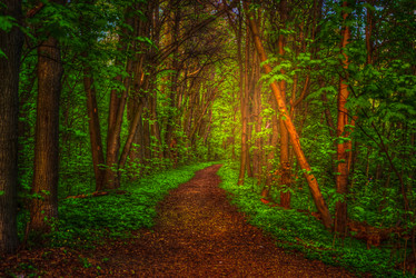 Similar image 13130458