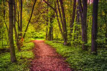 Similar image 13130476