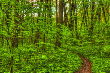 Similar image 13130477