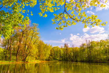 Similar image 13130479