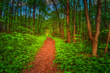 Similar image 13130518