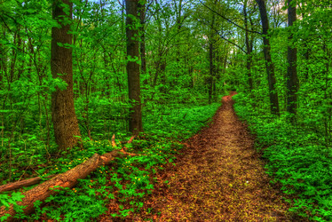 Similar image 13130519