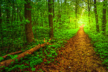 Similar image 13130538