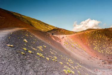 Similar image 13130558