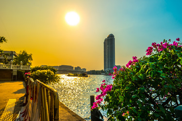 Similar image 13130603