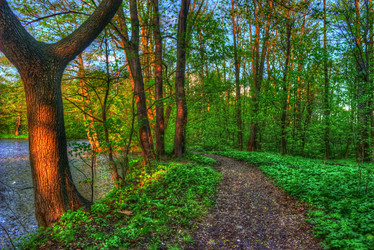 Similar image 13130611