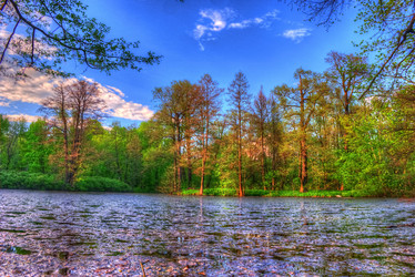 Similar image 13130613