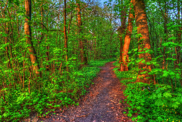 Similar image 13130634