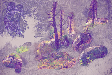 Similar image 13130736