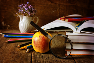 Similar image 13146428