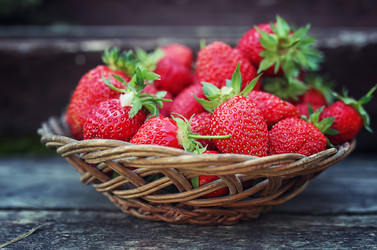 Similar image 13146183