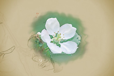 Similar image 13131779