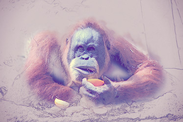 Similar image 13131112