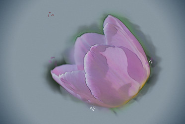 Similar image 13131300